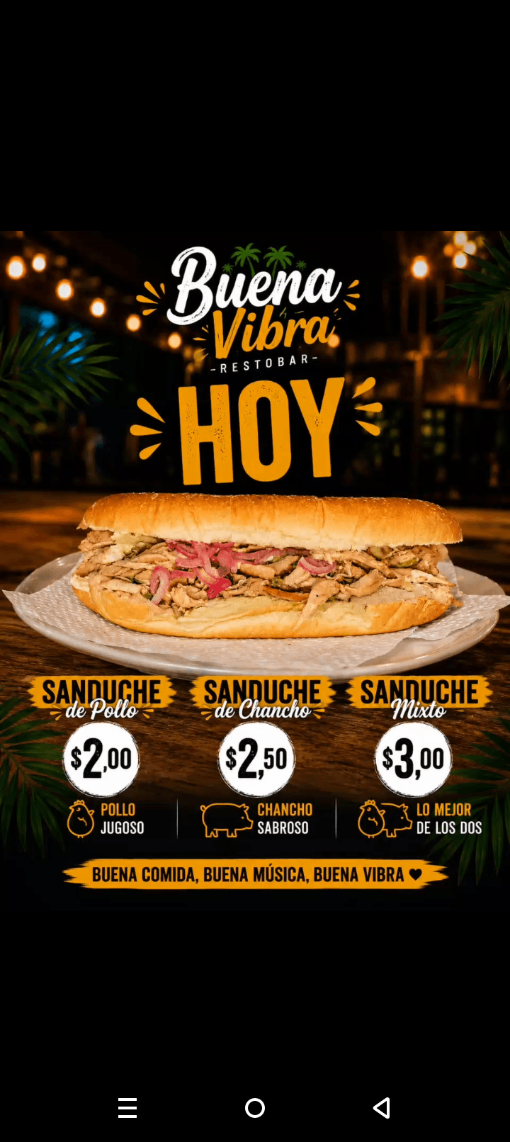 Buena Vibra Restobar 2